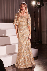 CB149 - Ladivine By Cinderella Divine Dress