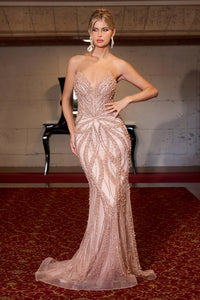 CC0688 - Ladivine By Cinderella Divine Dress