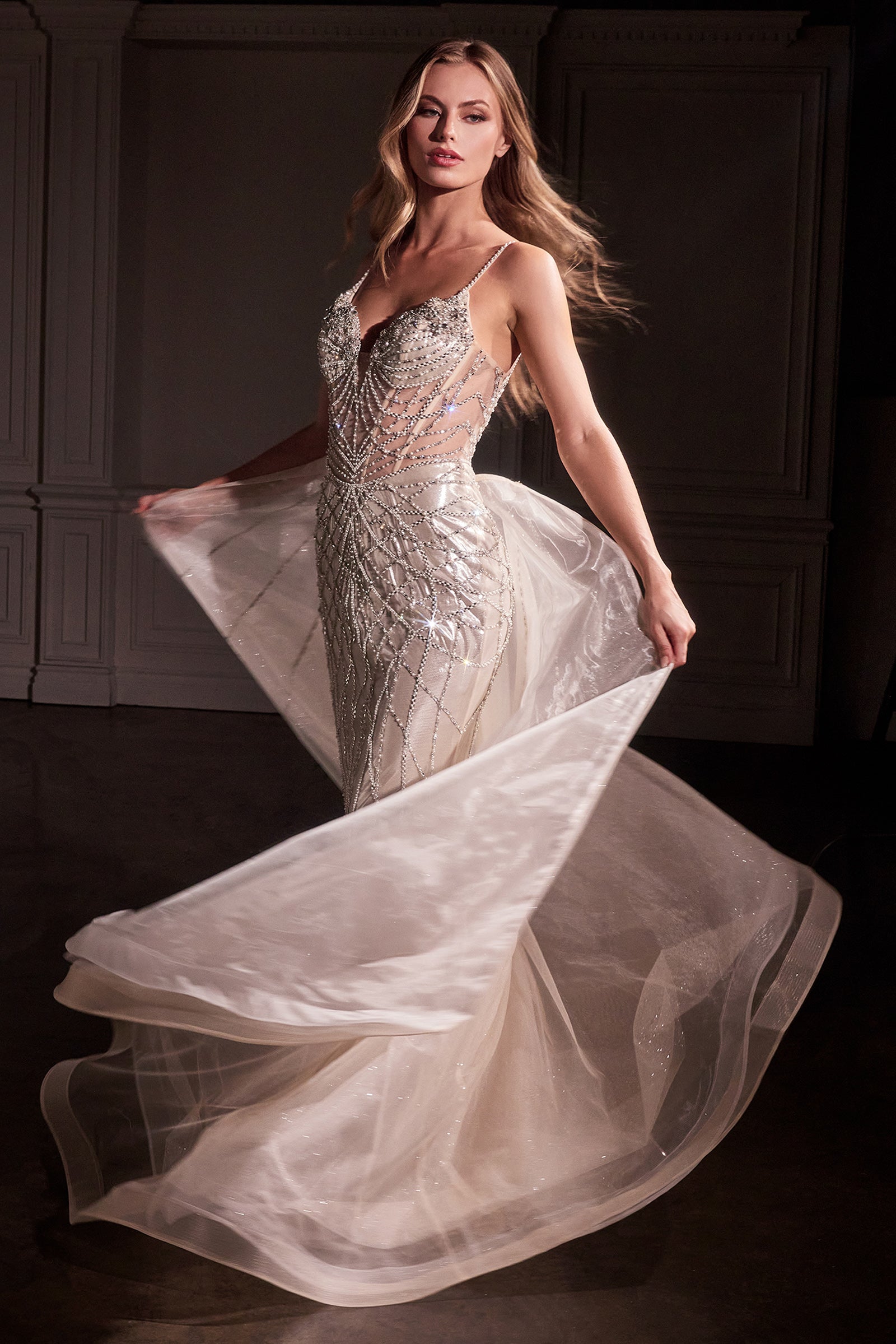 CD763 - Ladivine By Cinderella Divine Dress