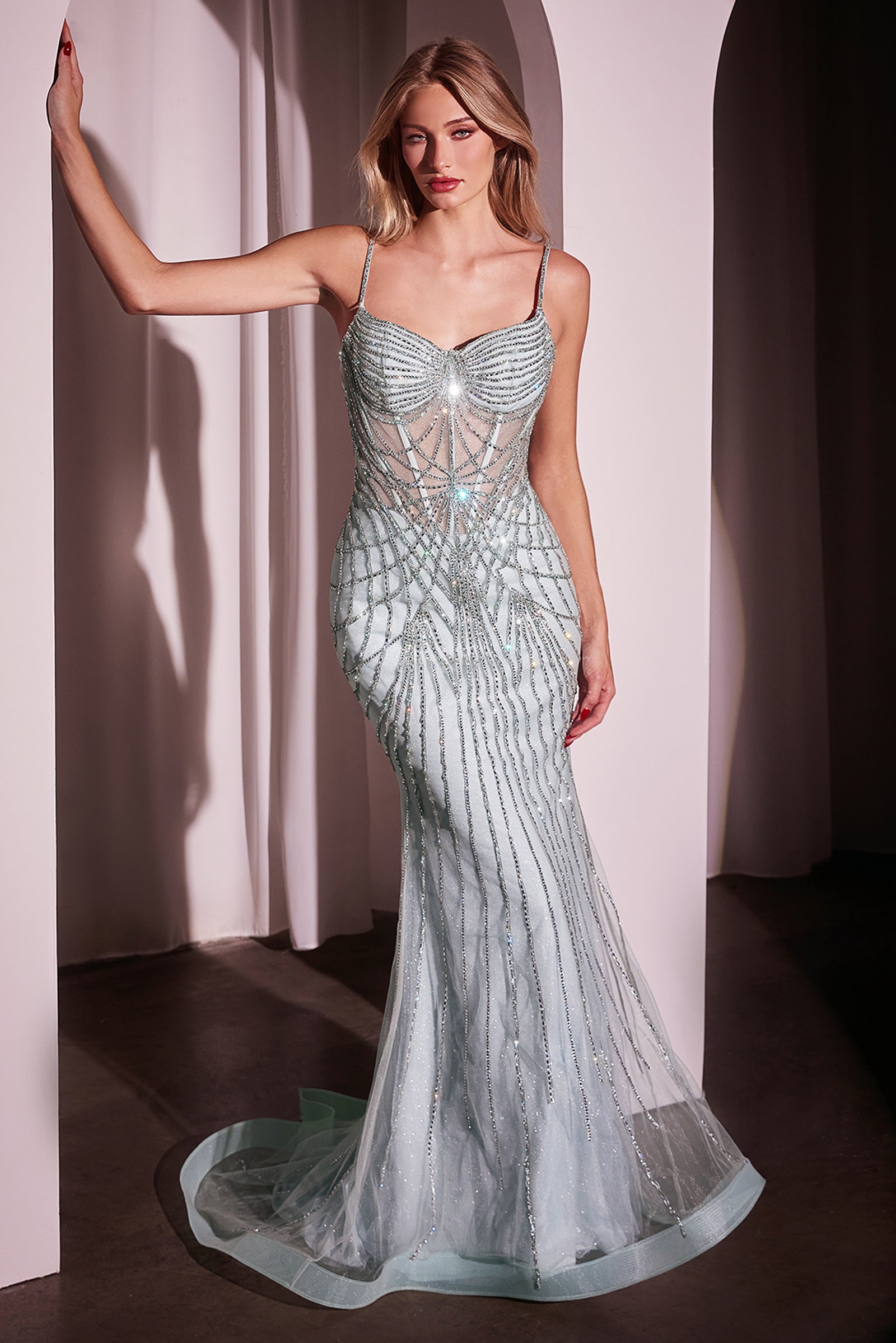 CD766 - Ladivine By Cinderella Divine Dress