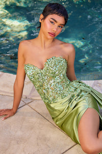 CDS530 - Ladivine By Cinderella Divine Dress