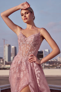 CDS533 - Ladivine By Cinderella Divine Dress