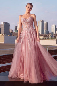 CDS533 - Ladivine By Cinderella Divine Dress