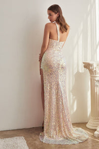 C140 - Ladivine by Cinderella Divine Dress - PROMPARTY