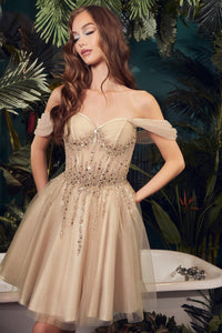 CD0211 - Ladivine by Cinderella Divine Dress - PROMPARTY