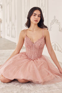 CD0236 - Ladivine by Cinderella Divine Dress