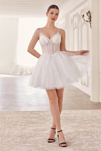 CD0236 - Ladivine by Cinderella Divine Dress