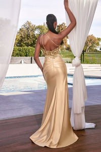CDS454 - Ladivine by Cinderella Divine Dress - PROMPARTY