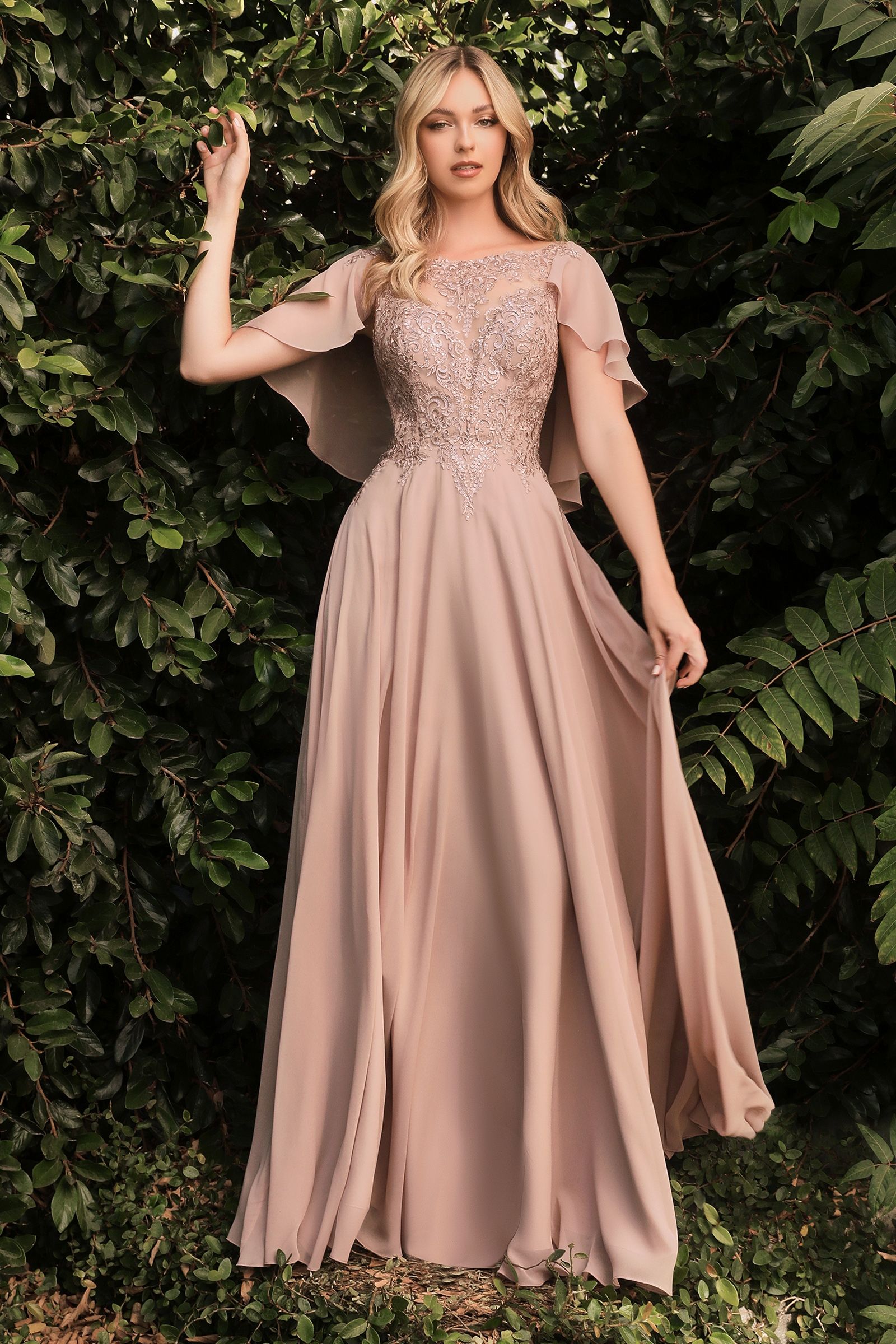 HT101 - Ladivine By Cinderella Divine Dress