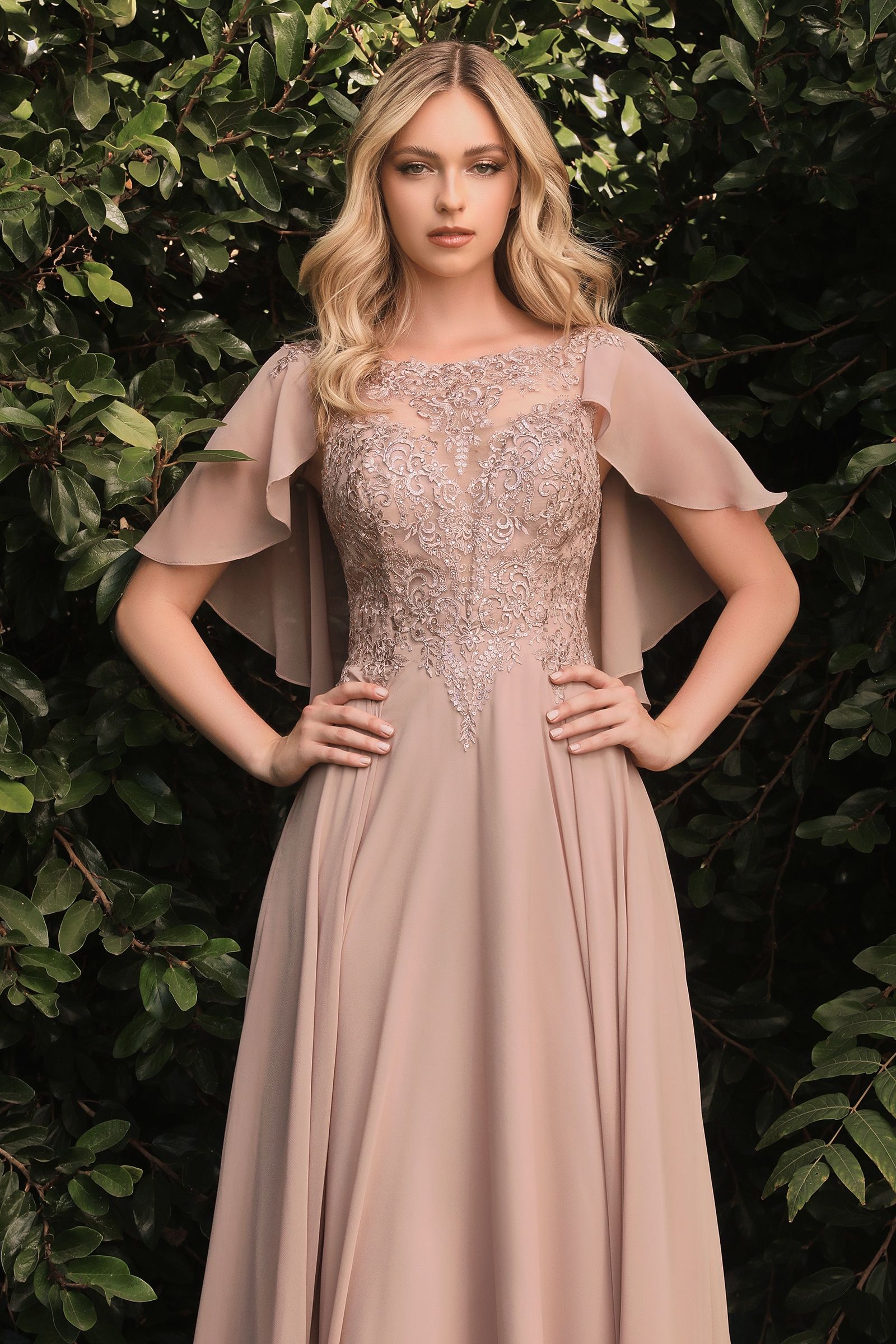 HT101 - Ladivine By Cinderella Divine Dress