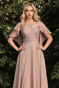HT101 - Ladivine By Cinderella Divine Dress