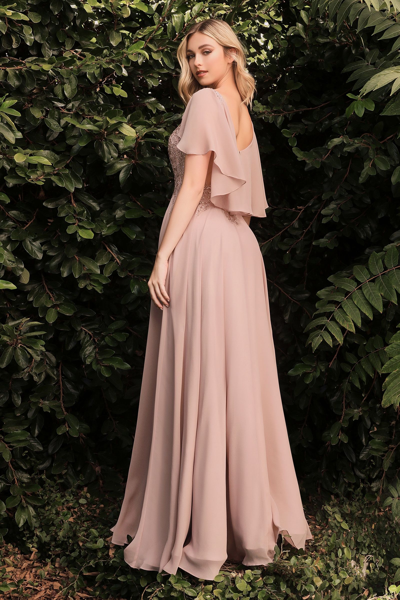 HT101 - Ladivine By Cinderella Divine Dress